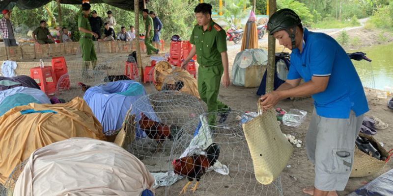 Bắt đá gà Long An